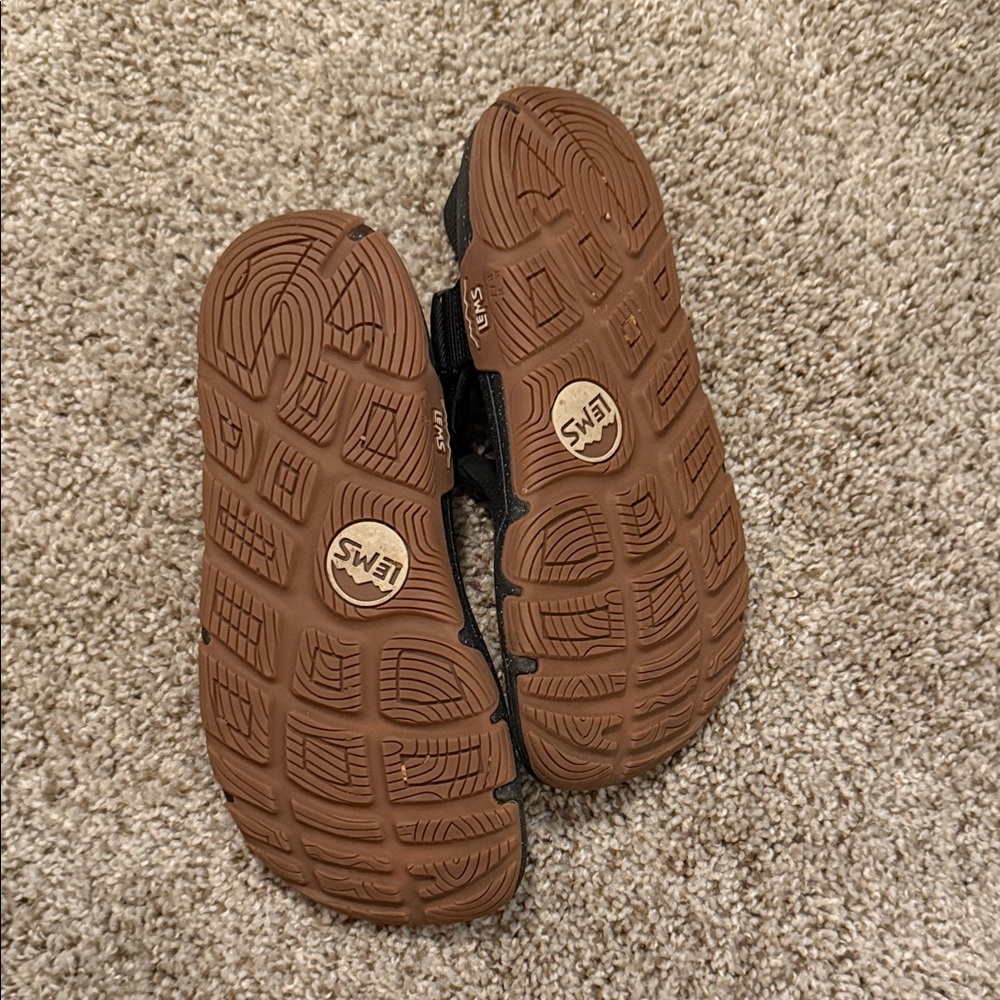 Lems Switchback - image 2